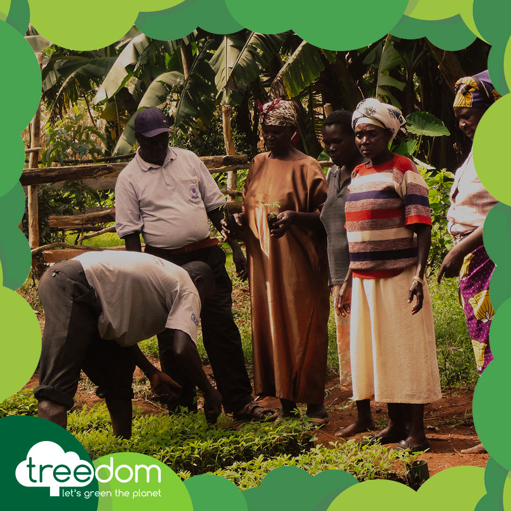Treedom et ProduceShop pour la planète