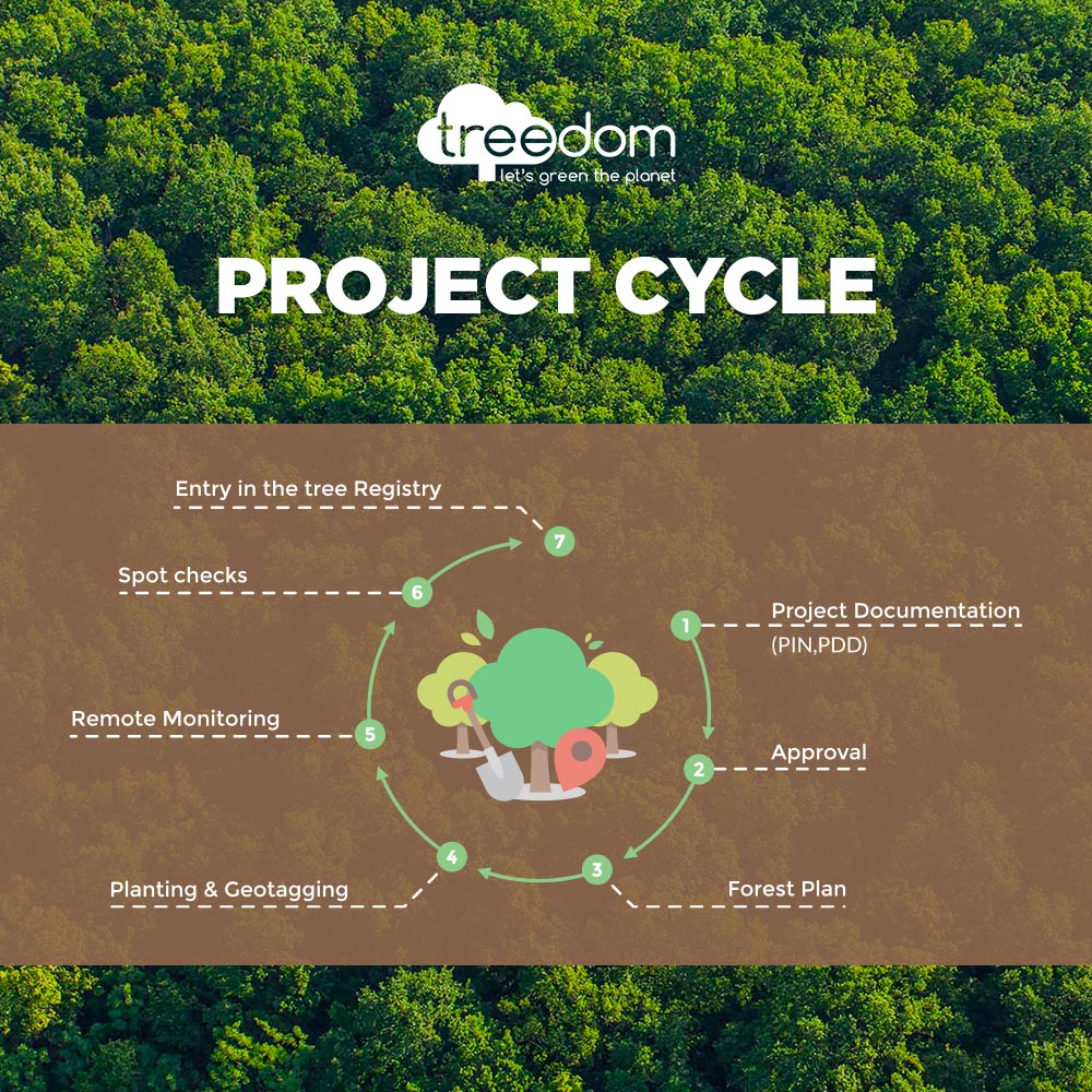 Le Project Cycle de Treedom et la foret de ProduceShop